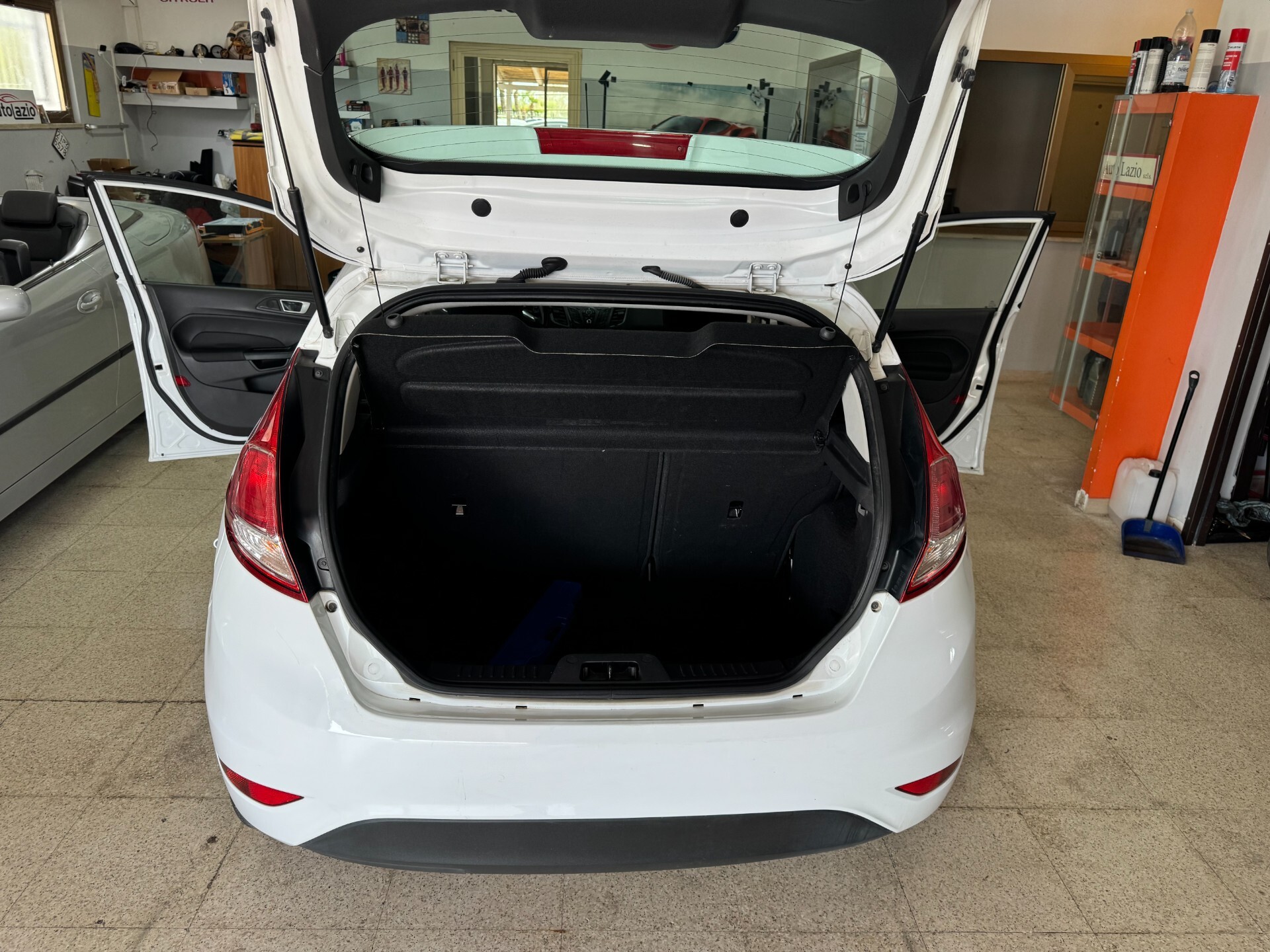 Ford Fiesta 1.4 5 porte Bz.- GPL Black & White Edition